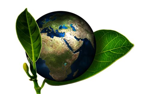 Benefits Of Going Green For Your Business Brock Office Automation