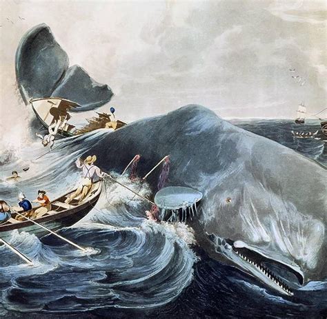 „moby Dick“ Autor Melville Die Mär Vom Wal Der Ein Berg War Welt