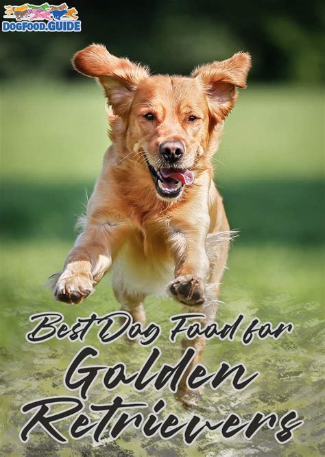 Royal canin golden retriever puppy breed specific dry dog food. 10 Healthiest & Best Dog Food for Golden Retrievers in 2021