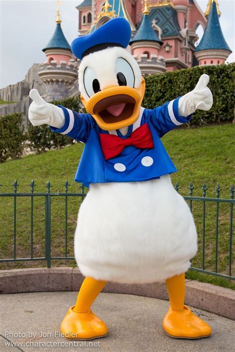 Donald Duck At Disney Character Central Cute Disney Pictures Disney