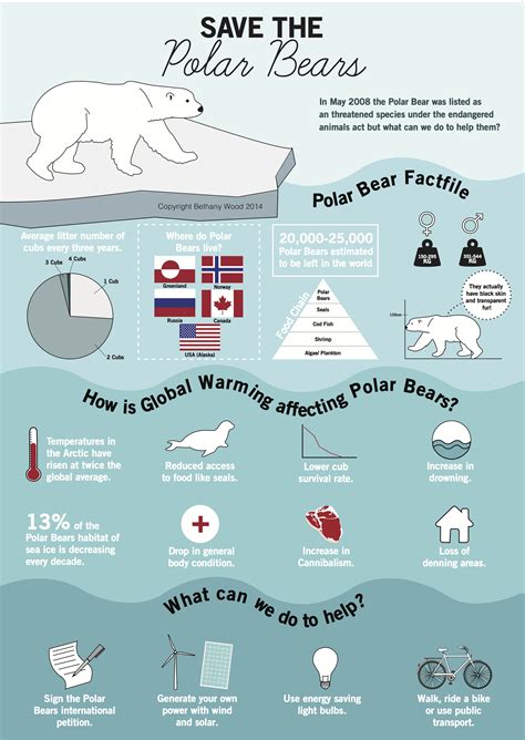 Save The Polar Bears Infographic Design Save The Polar Bears