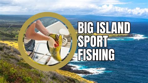 Sport Fishing Big Island Hawaii Ultimate Guide And Charters