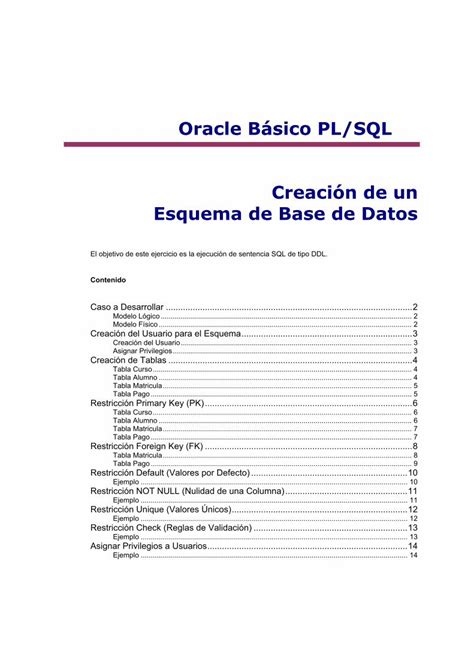 Pdf Oracle Básico Pl Sql Creación De Un Esquema De Base De Datos · Oracle Básico Pl Sql