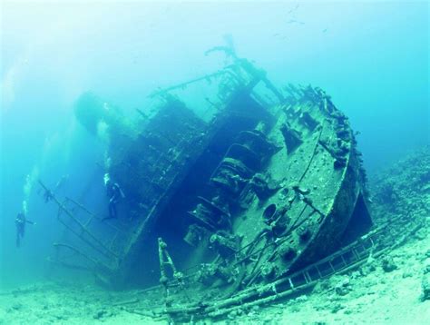 Explore The Stunning Giannis D Shipwreck In The Red Sea