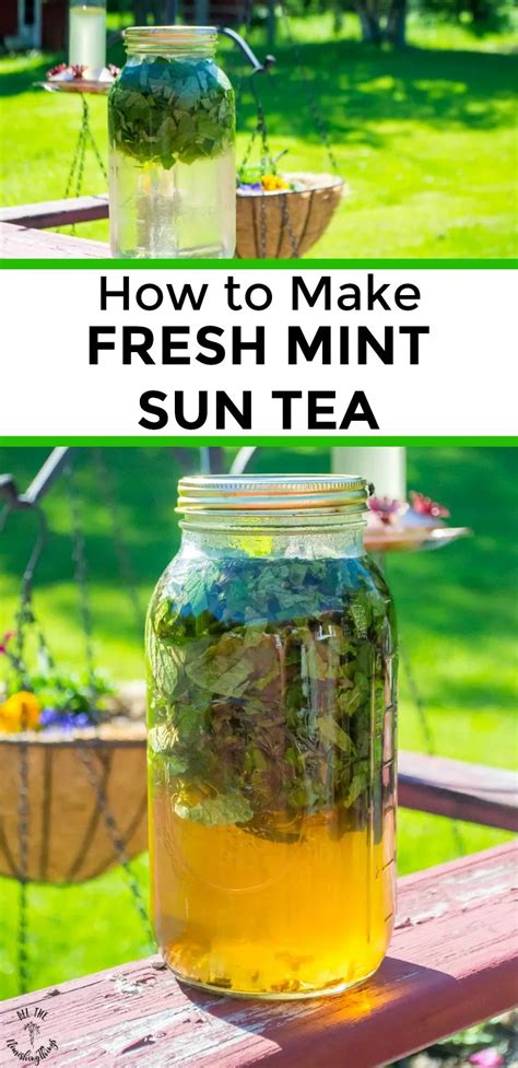 How To Make Fresh Mint Sun Tea Its Such An Easy And Magical Process