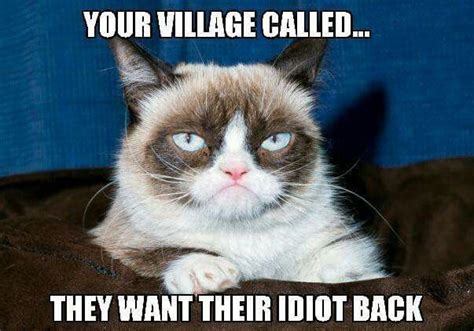 Pin By Cimarron Girl🌵🌵 On Grumpy Cat Xd Funny Grumpy Cat Memes