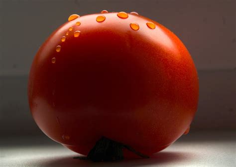A Drop Tomato Fresh Free Photo On Pixabay