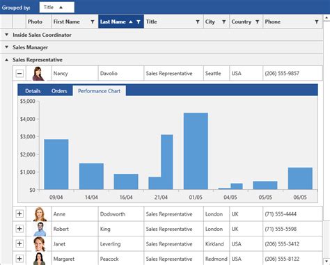 Overview Radgridview Telerik Ui For Winforms Cloud Hot Girl