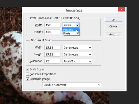 How To Resize An Image In Adobe Photoshop Steps