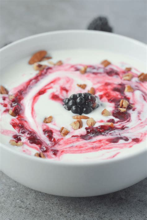 As well as having the lowest sugar content of dr sana khan says, this yogurt contains gut health supporting live bacteria! Low Carb "Yogurt" {Keto-Friendly} - Hey Keto Mama
