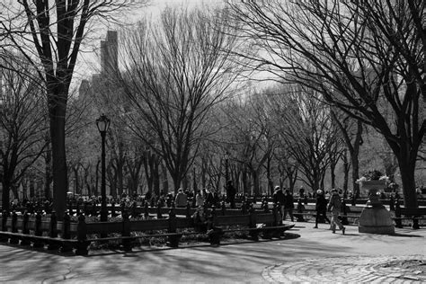 Central Park Nyc Free Stock Photo Public Domain Pictures