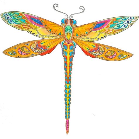 Dragonfly Enchanted Forest Johanna Basford