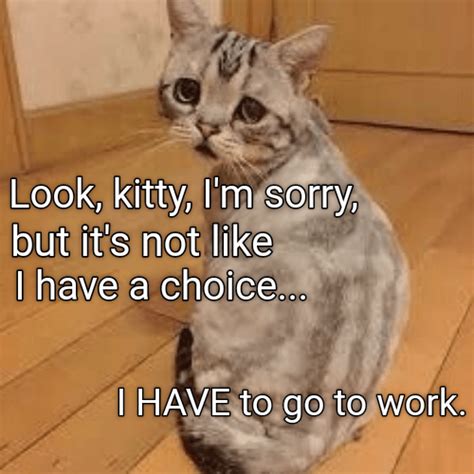 Yes I Ll Miss You Too Lolcats Lol Cat Memes Funny Cats Funny