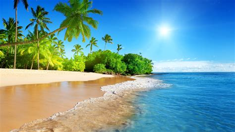 Fonds d écran Belle plage palmiers mer soleil paysages tropicaux x UHD K image