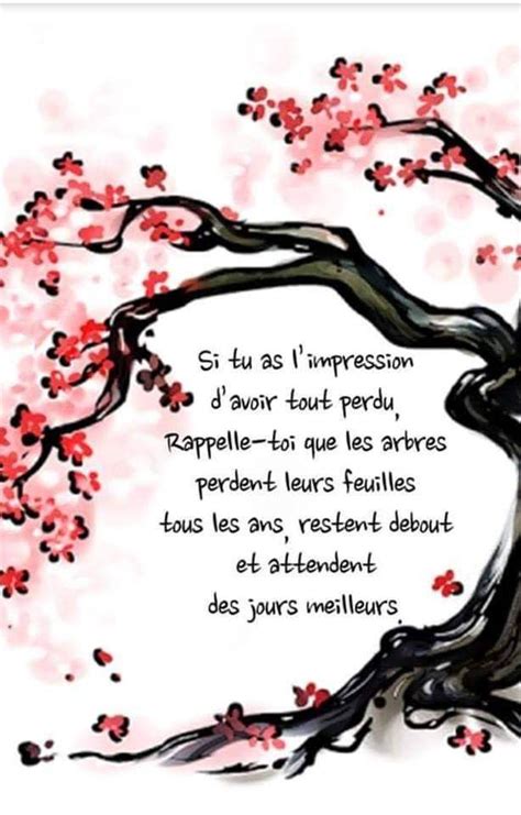 Pin by Hope > Vision > Action on Français | French quotes, Quote ...
