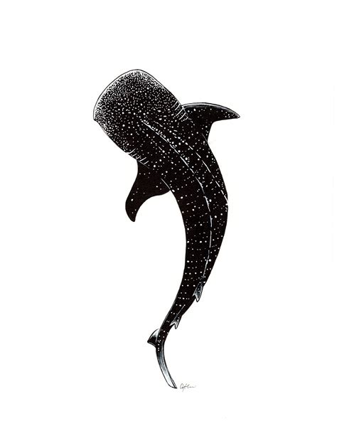 Whale Shark Drawing Ocean Animal Illustration Kid Room Decor Coastal