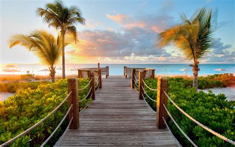 Wallpaper Sunlight Sunset Sea Shore Beach Morning Coast Palm