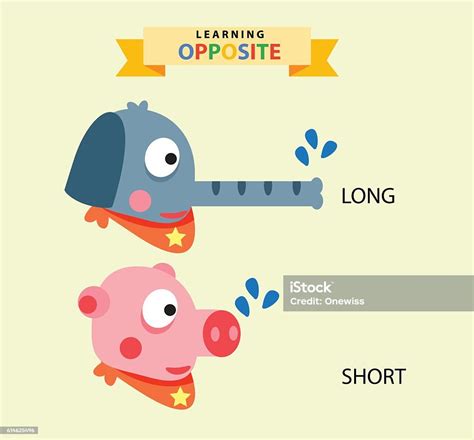 Long Vs Short Stock Vector Art And More Images Of Animal 614625496 Istock