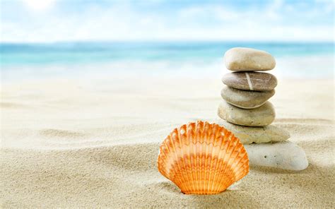 Seashells On The Beach Wallpaper 49 Images