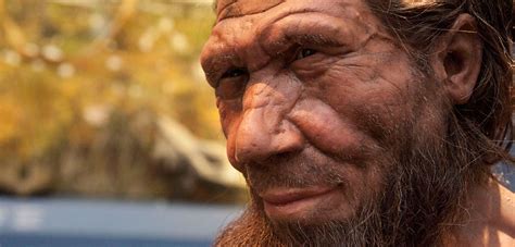 Who Were The Neanderthals Natural History Museum