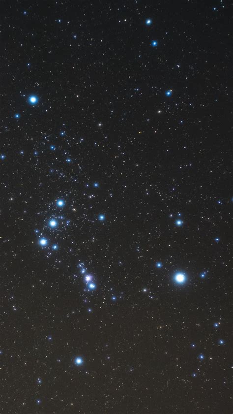 Download Wallpaper 800x1420 Starry Sky Orion