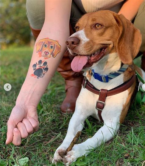 27 Of The Best Beagle Dog Tattoo Ideas Ever Petpress