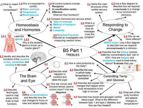 Aqa Biology Gcse B5 Triple Homeostasis Recall Qs Teaching Resources
