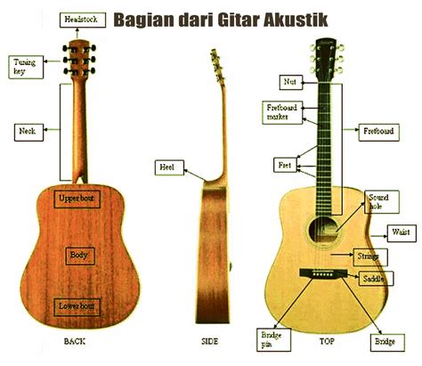 Fungsi Tombol And Bagian Bagian Gitar Accoustic