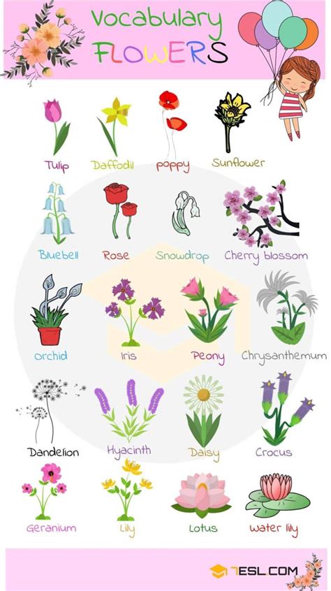 List Of Plant And Flower Names In English With Pictures 7esl