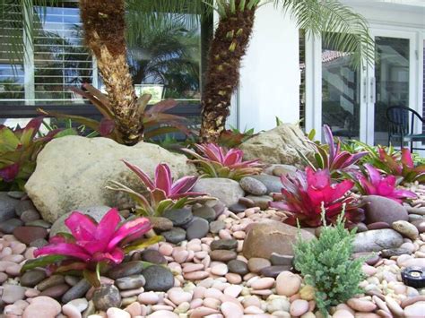 Nod to cosy and practical vibes. Easy Rock Garden No Plants | Amazing fuchsia colored bromeliads in | landscaping | Pinterest ...