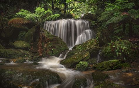 Wallpaper Forest Stream Stones Waterfall Moss Australia Panorama