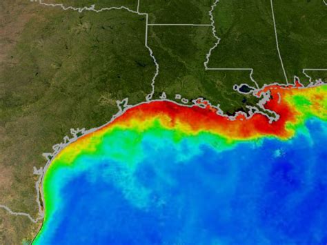The Gulf Of Mexico Dead Zone