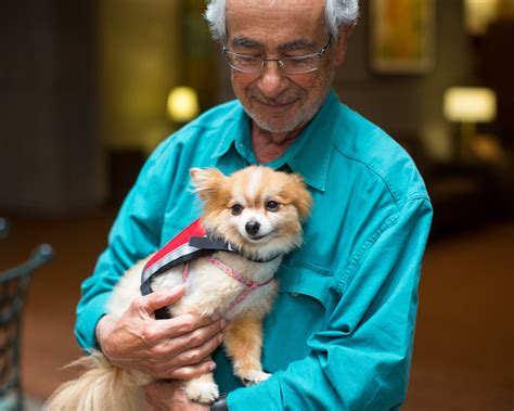 Commercial Animal Photography | Man Holding Therapy Dog on Lap by Mark ...