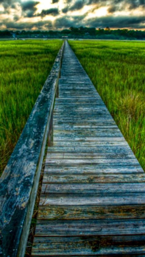 Wide Open Source Beautiful Forest Forest Path Nature