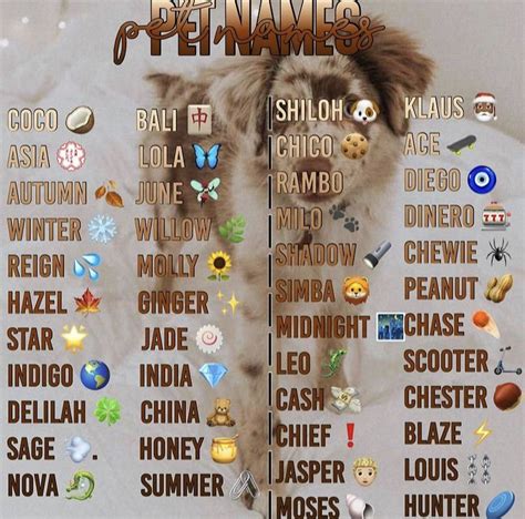 Pin By Naomi On Animals In 2021 Cute Animal Names Dog Names Cute