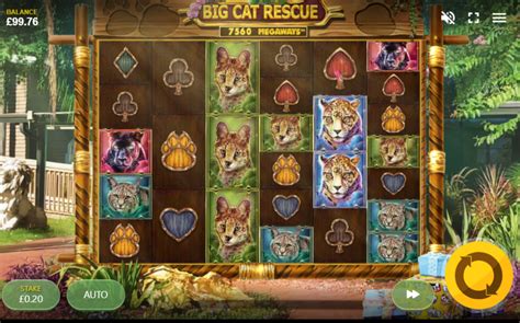 Big Cat Rescue Megaways Slot Review 🥇 2024 Rtp And Free Spins