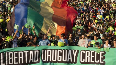 festejos por la legalización de la marihuana en uruguay infobae