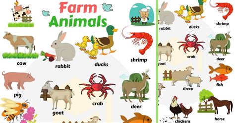 Domestic Animals Farm Animals Useful List And Great Images 7esl