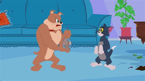 The tom and jerry show is an american animated television series produced by warner bros. New 'Tom and Jerry Show' Clips