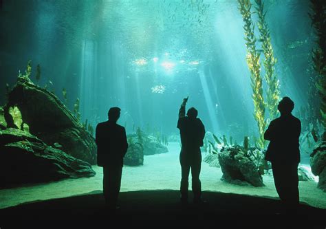 Visitors View Of Lisbon Oceanariums Main Tank Photograph By Dr Jurgen