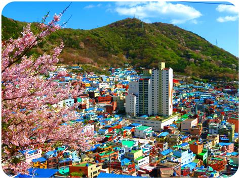 Gamcheon Culture Village Busan South Korea Travel Aesthetic Busan