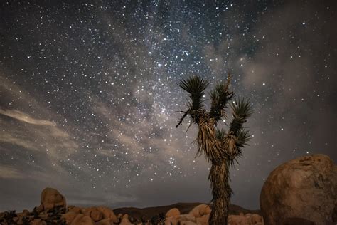 Stargazing In Joshua Tree National Park Complete Guide For Beginners Amateur Adventure Journal