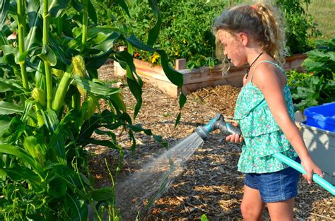 If youâ€™re like most of us, you think of helping those in need just as the people going out on the street delivering items or talking to those on need. Food Bank Garden in Winston-Salem, NC: "Adopt a Box ...