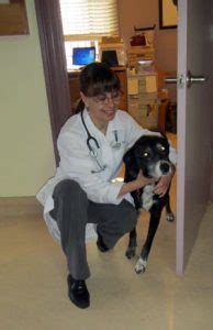 Brenda ponce, has been serving the salt lake community for the last seventeen years. Meet The Doctor | Avenues Pet Clinic