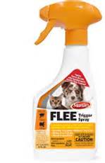 Here's how to can get rid of them, as long as you are willing to put the work in. Get Rid Of Fleas|Flea Control