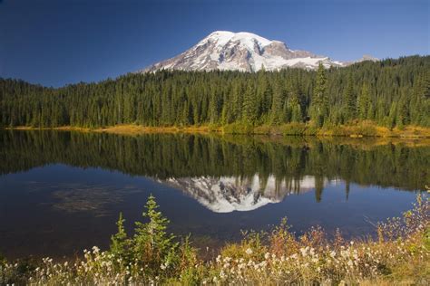Reflection Lakes Mount Rainier National Park Photo Spot