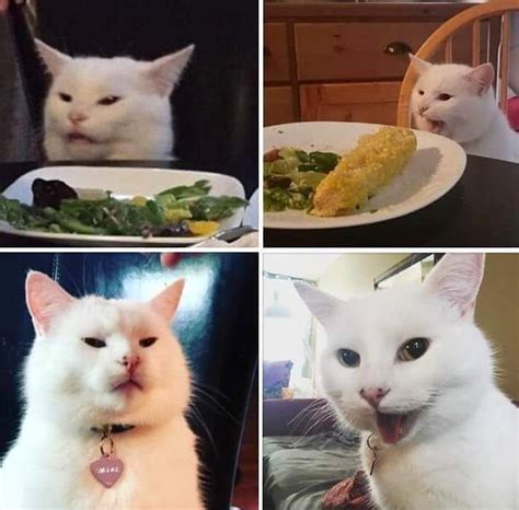 Cat At Table Meme Template