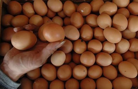 Harga Telur Ayam Broiler Pekan Ini Beringsut Naik