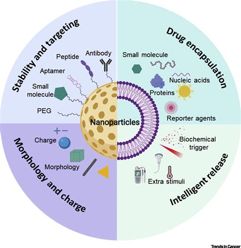 Nanotherapeutics For Immuno Oncology A Crossroad For New Paradigms