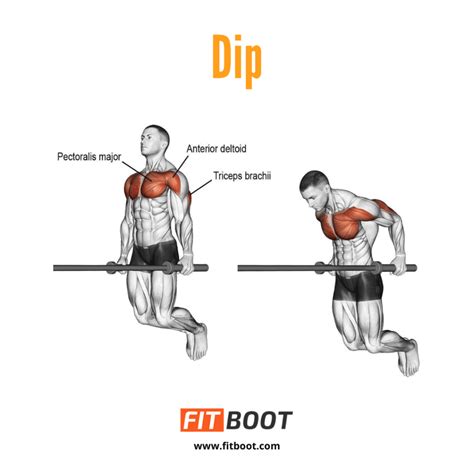 How To Do Dips At Home Chest Workout
